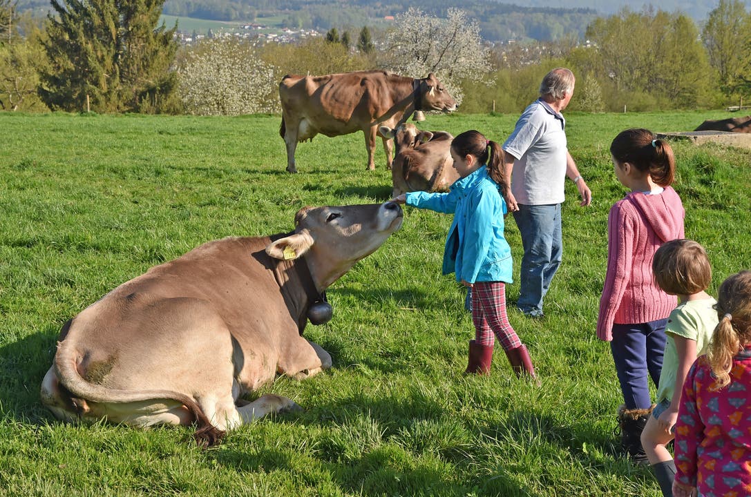 In den Frühlingsferien konnten die Kinder in der Hofchäsi in Gretzenbach lernen, wie Käse hergestellt wird.