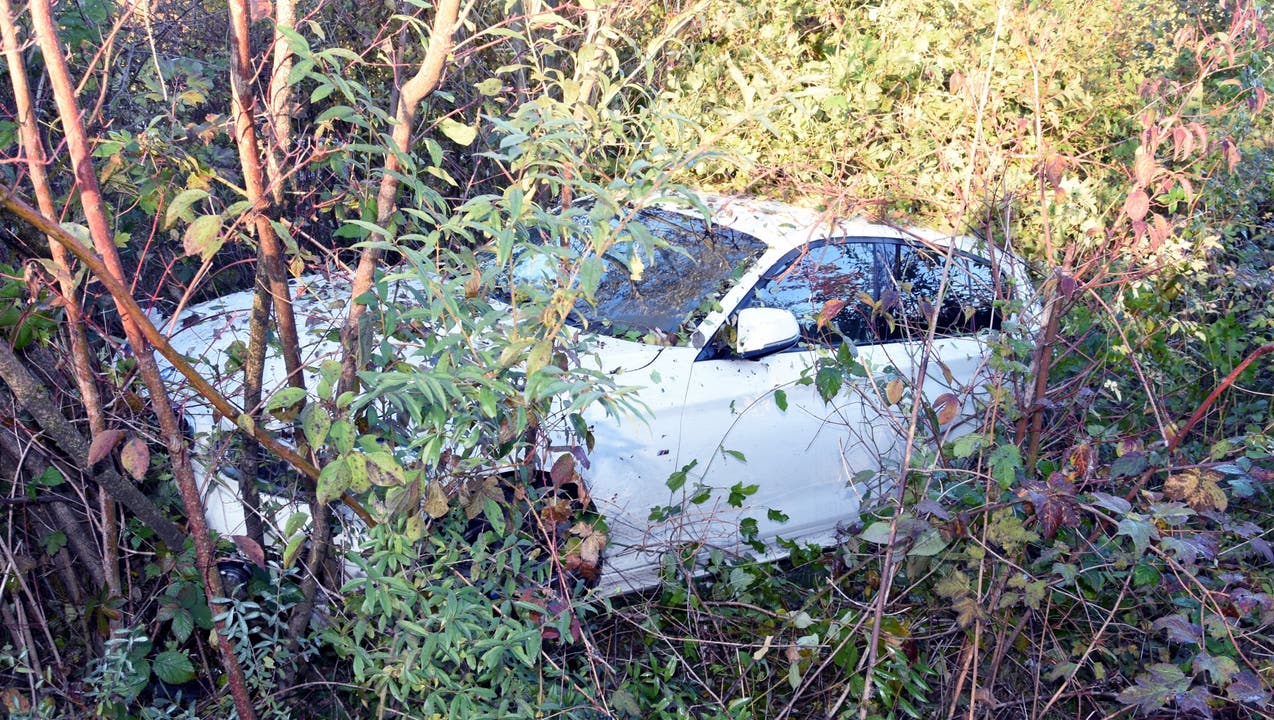 Gossau (SG), 14. Oktober Ein betrunkener Autofahrer verlor die Herrschaft über sein Fahrzeug und setzte es ins Gebüsch. Beim Eintreffen der Polizei fehlte vom 30-jährigen Unfallverursacher jede Spur.
