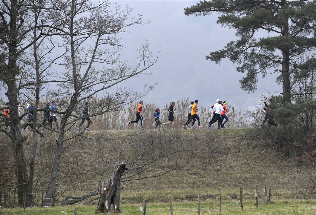An Silvester findet alljährlich der Gippinger Stauseelauf statt: Hunderte Läufer nehmen jeweils daran teil.