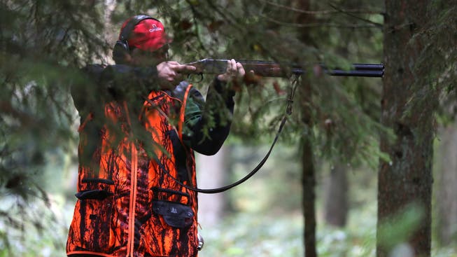 Im Kanton Zürich gibt es rund 1500 aktive Jäger. Sie sollen durch Wildhüter ersetzt werden.