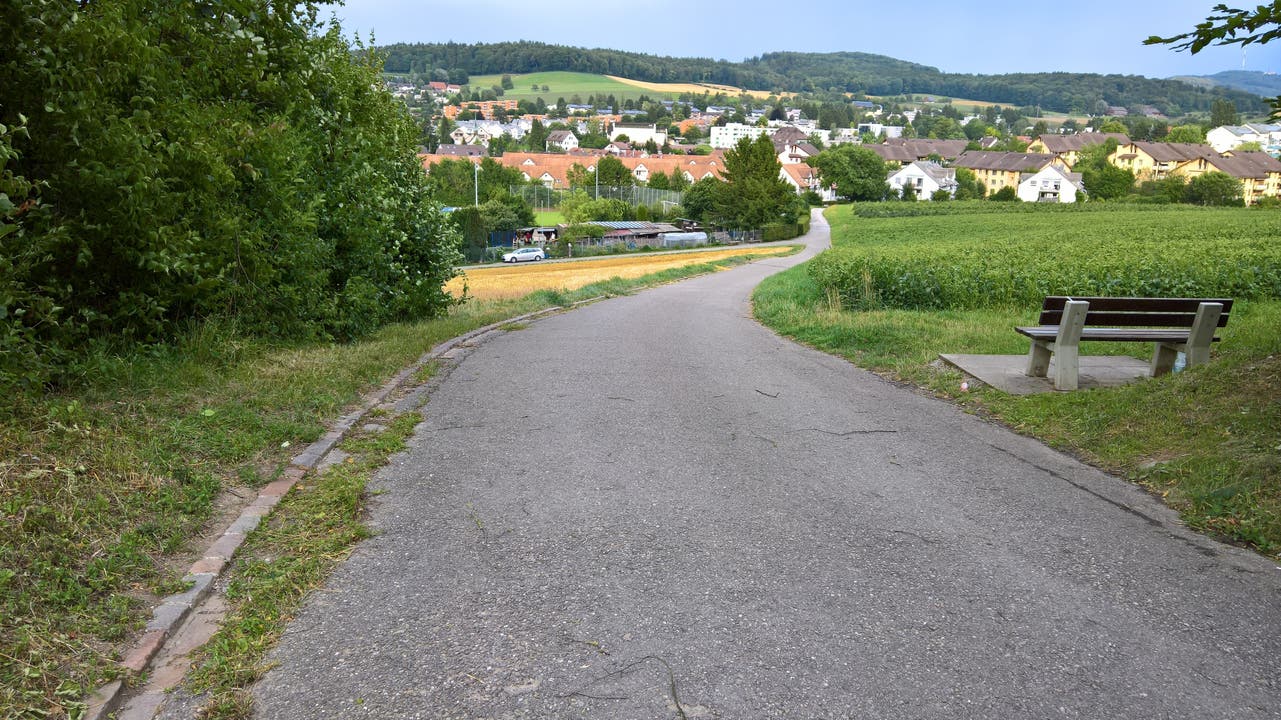 Auf diesem Feldweg kam ein Mann mit zwei Flat Coated Retrievern von Urdorf her in Richtung der Brücke über die A3. Der Feldweg führt am Chlösterli-Fussballplatz vorbei.