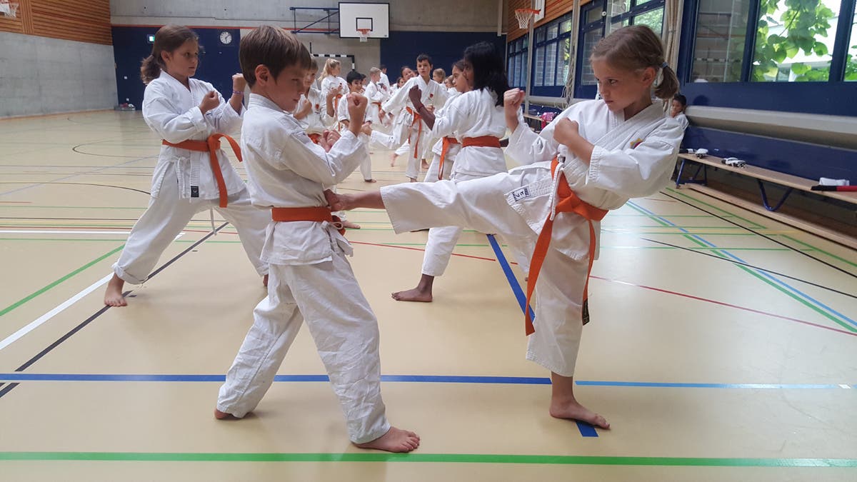 Kampfsportschule Aarau Stolze Karate Kids aus dem Kinder-Karate-Training