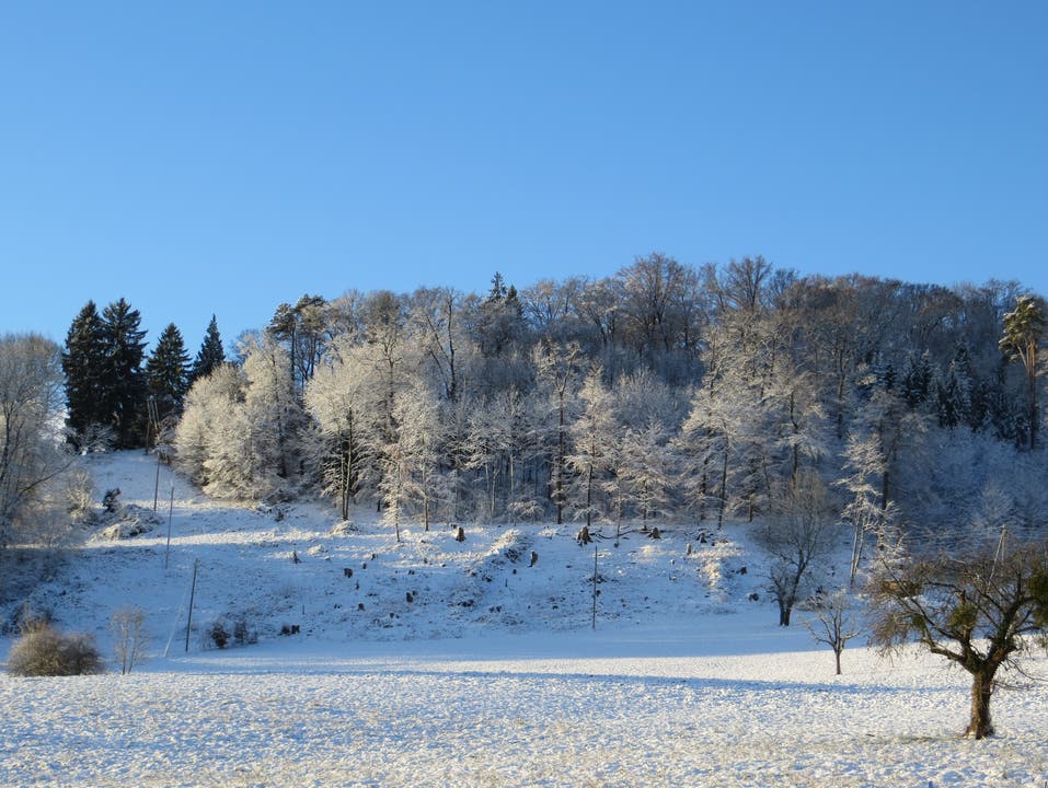 undefined Der Winter bei uns in Frenkendorf und Liestal.