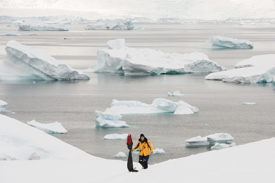 Antarktische Halbinsel - Sandra Walser 'wegt' und markiert den Weg mit Flaggen ( Nicolas Gildemeister) Sandra Walser