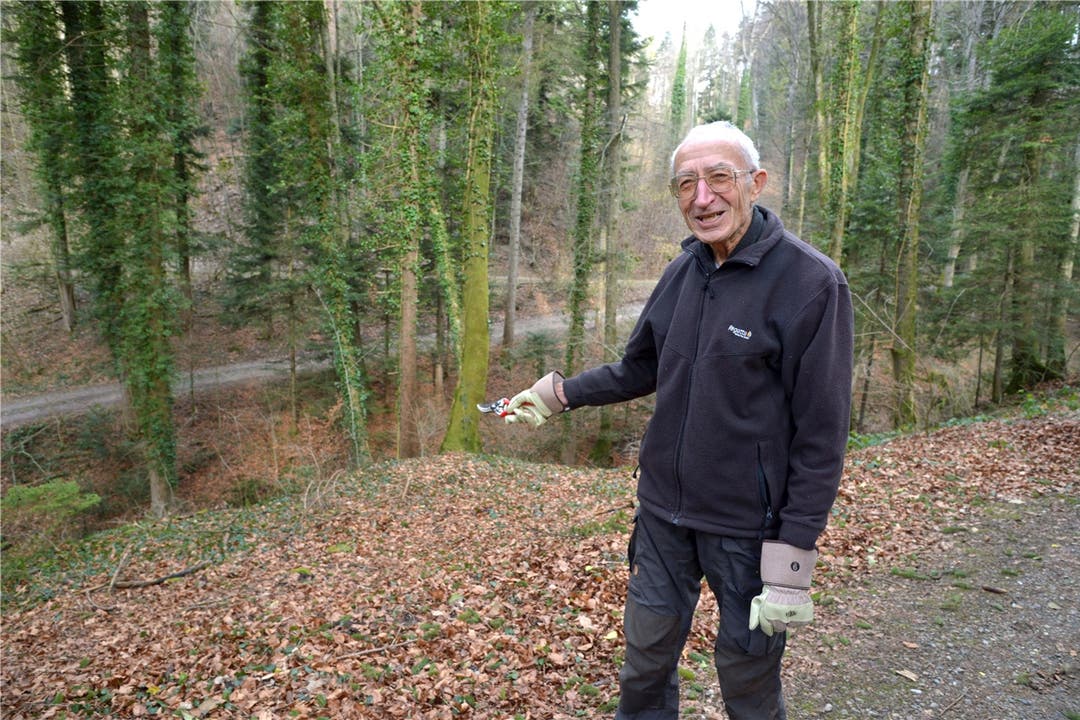 Manfred Hunziker fand die Leiche in der letzten Januarwoche an dieser Stelle im Wald.