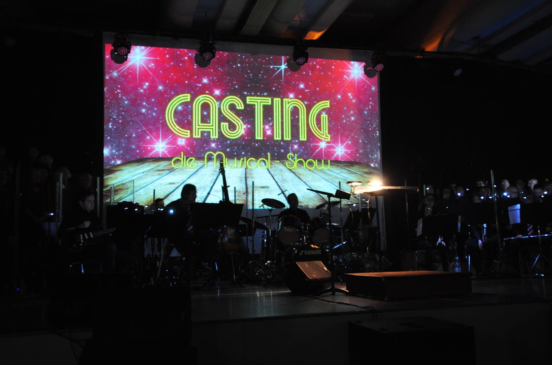 «Casting – die Musical Show» ist ein Gemeinschaftsprojekt des «Harmonie»-Dirigenten Pascal Müller und des Limmichor-Leiters Patrik Elsaid.