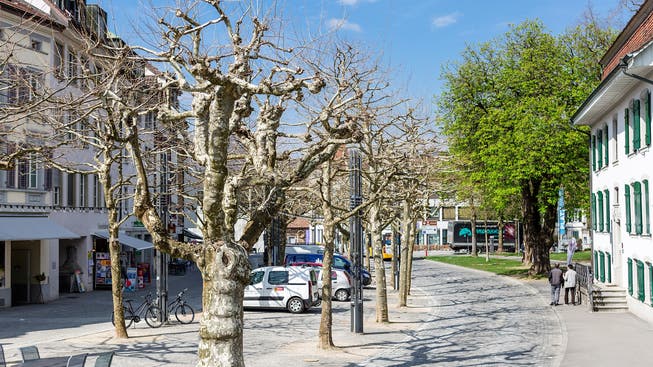Die Aarauer Bevölkerung schätzt in hohem Masse die städtischen Grünflächen, Alleen und Parkanlagen.