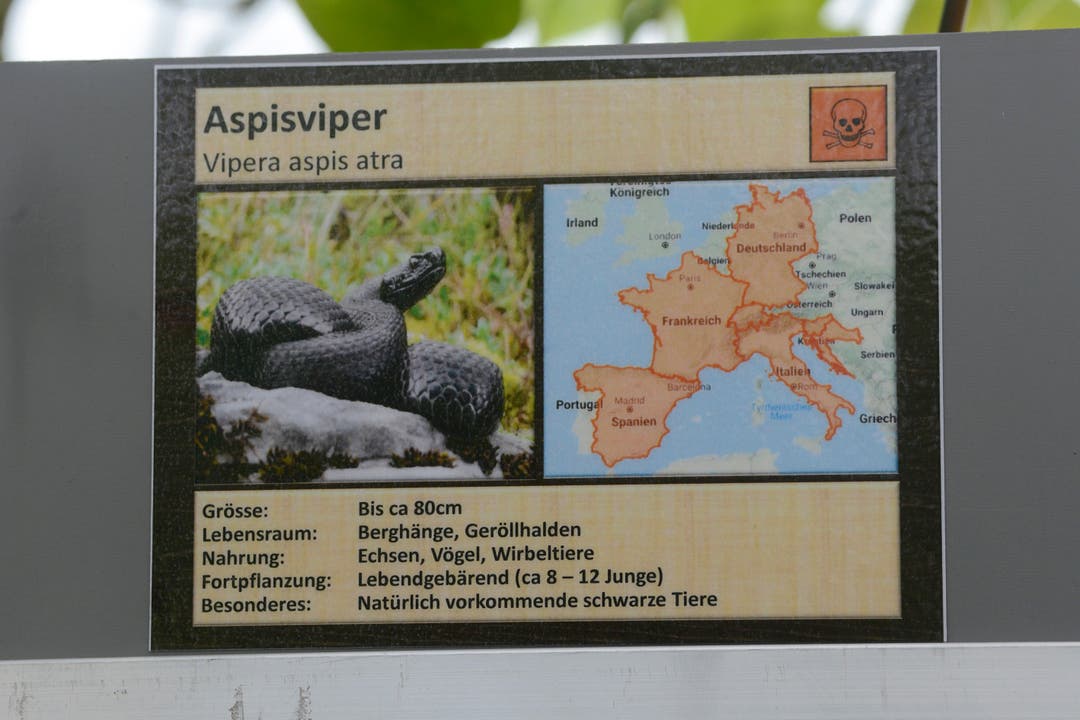 Impressionen von der Reptilienausstellung in der Gärtnerei Waibel.