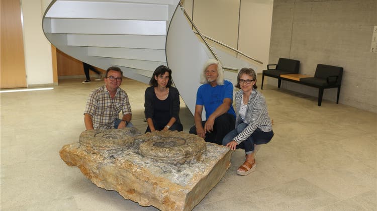 Ein archäologischer Fund aus der Jura-Zeit schmückt seit Kurzem das Foyer der Verwaltung