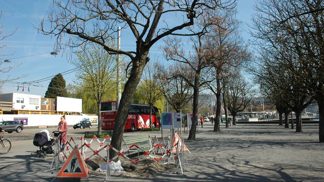 Im März wurden viele Bäume durch Windböen beschädigt. Die Stadt liess sie darauf auf ihre Standfestigkeit überprüfen.
