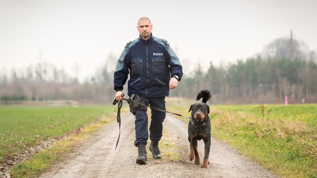 17 Monate alt ist der Rottweiler Gysmo, der mit vollem Zuchtname Gysmo vom Holzbrünneli heisst. Sein Herrchen ist Wachtmeister Niedermann von der Polizei rechtes Limmattal. Er bildet Gysmo zum Polizeihund aus.