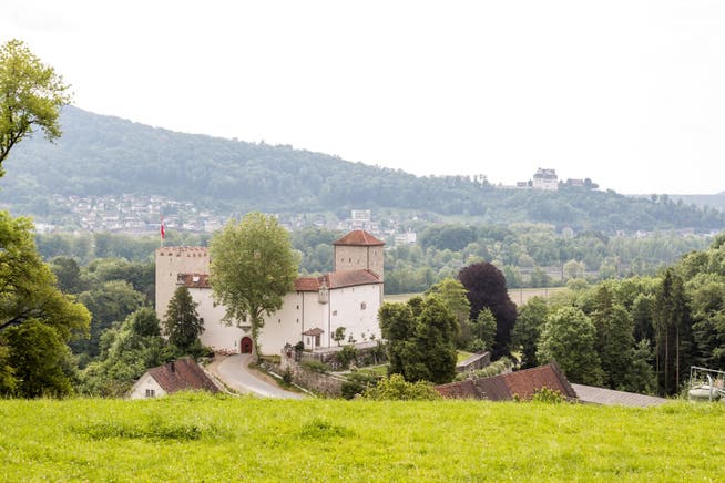 Blick auf Schloss Wildenstein.