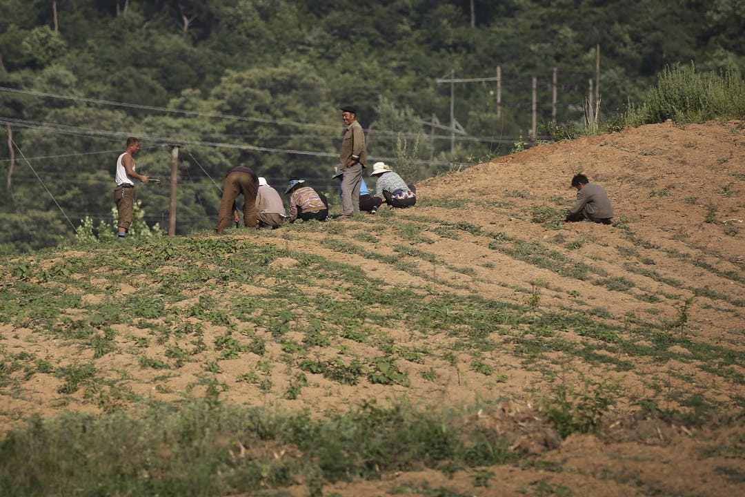 Alltag in Nordkorea - Impressionen Bauern beim Pflanzen auf einem Feld neben einem Highway.