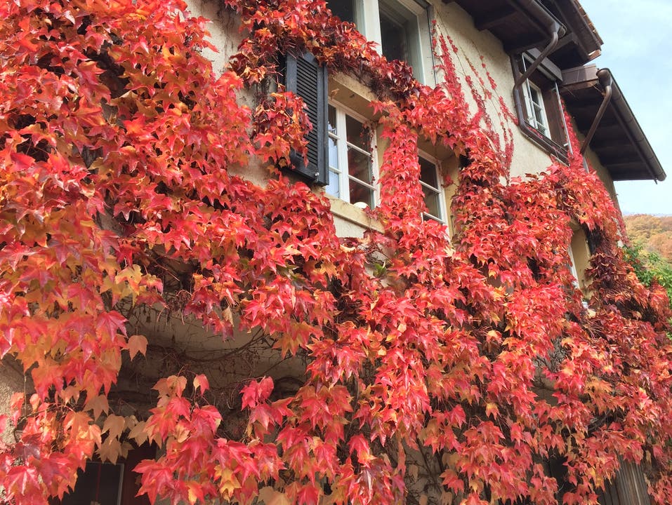 undefined Herbstliche Fassade