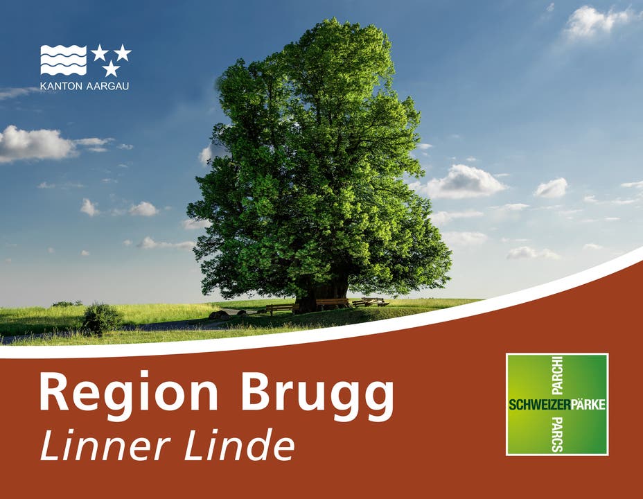 Strassenschild Region Brugg Linner Linde