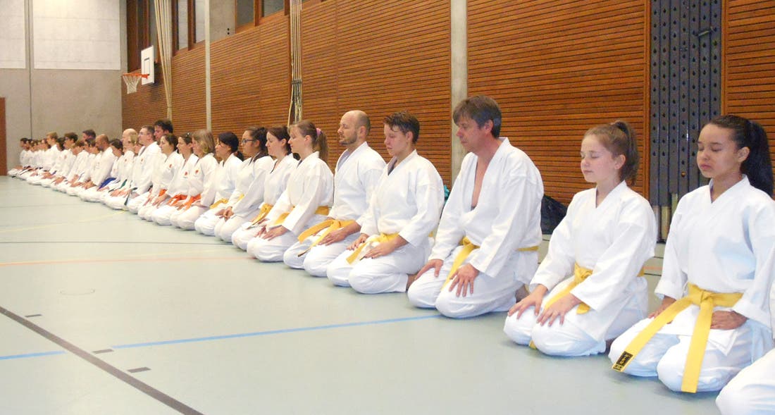 Kampfsportschule Aarau Karate-Mitglieder aus dem Training für Erwachsene