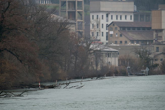 In kurzer Entfernung zum Ufer ist im Wasser die Spundwand, markiert mit rot-weiss angemalten Stangen erkennbar.