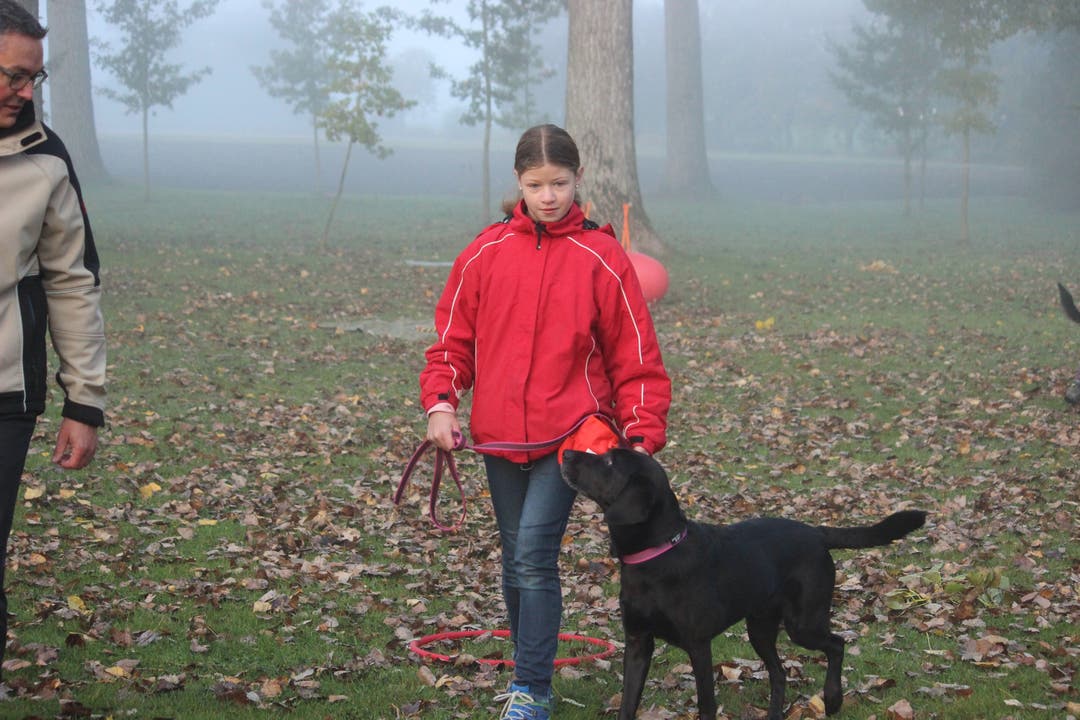 Ferienpass_Hund 05 Um sich besser kennen zu lernen und sich aneinander zu gewöhnen, spazieren die Kinder mit Hunden und Betreuern über die Wiese.