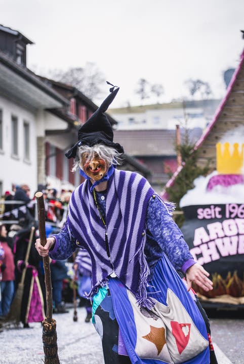 Fasnachtsumzug Würenlingen 2018 Am Sonntag 11. Februar fand in Würenlingen der 50. Fasnachtsumzug statt. «s‘Hexli Delüxli braut s‘Jubiläums-Güxli», ARGE Schwanz, Würenlingen