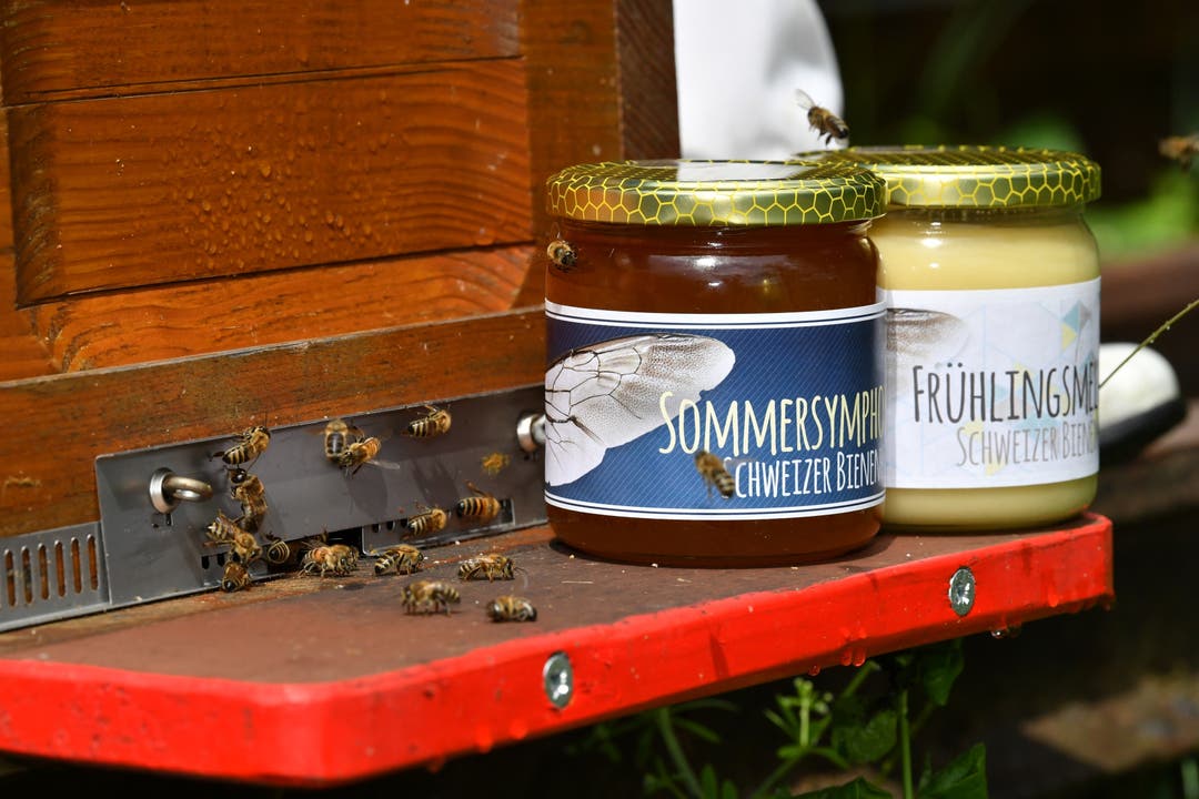 Sommer- und Frühlingshonig - das Produkt von Arbeit tausender Bienen