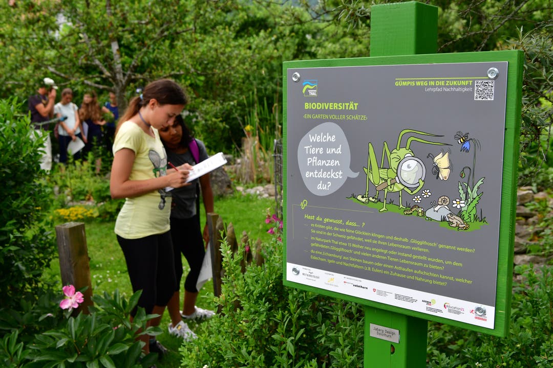 Gümpis Lehrpfad – ein neues Angebot des Naturpark Thal für Schulklassen