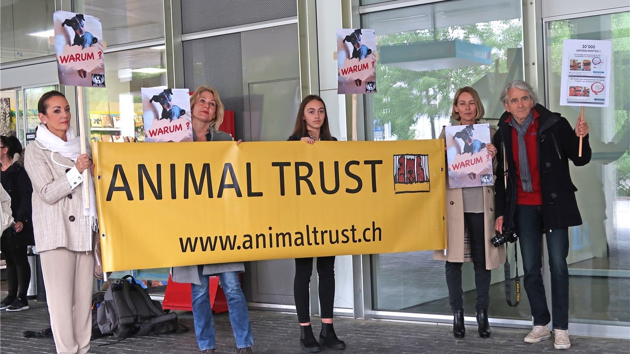 Mitglieder mehrerer Tierschutz-Organisationen demonstrieren vor dem Gerichtsgebäude beim Bahnhof in Zofingen.