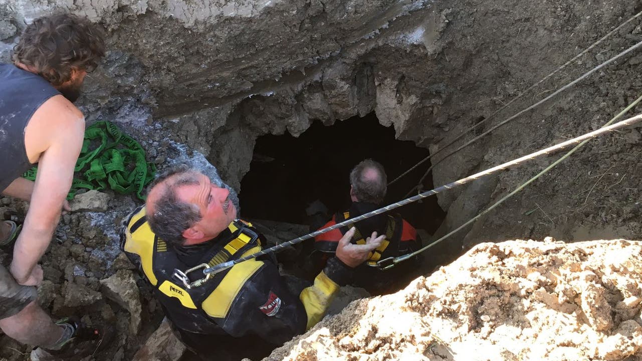 Trächtiges Rind stürzt in sechs Meter tiefe Habsburger Doline