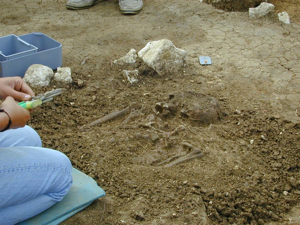Die Gräber stammen aus dem 6. und 7. Jahrhundert und zeichnen sich durch eine besonders grosse Anzahl von Grabbeigaben aus
