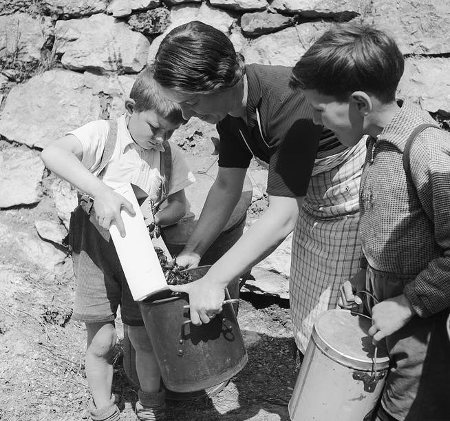 Kesselweise trugen Kinder landauf, landab die Käfer zusammen (Symbolbild aus dem Jahr 1949).