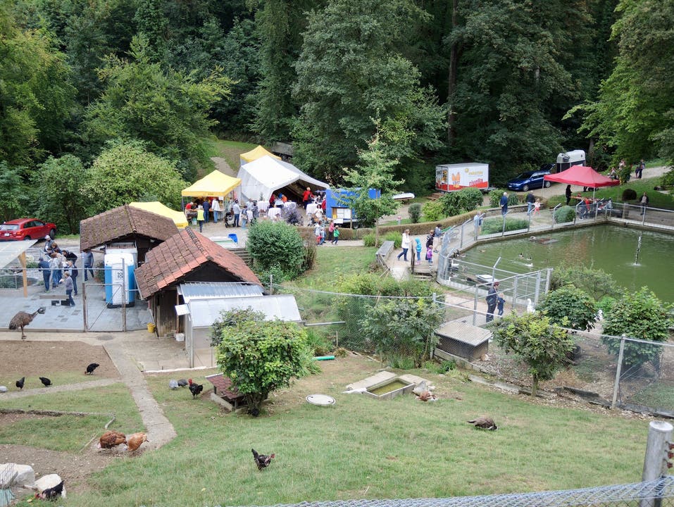 Seit über 40 Jahren gehört ein kleiner Tierpark zu Bad Zurzach, der von einem gemeinnützigen Verein geführt wird.
