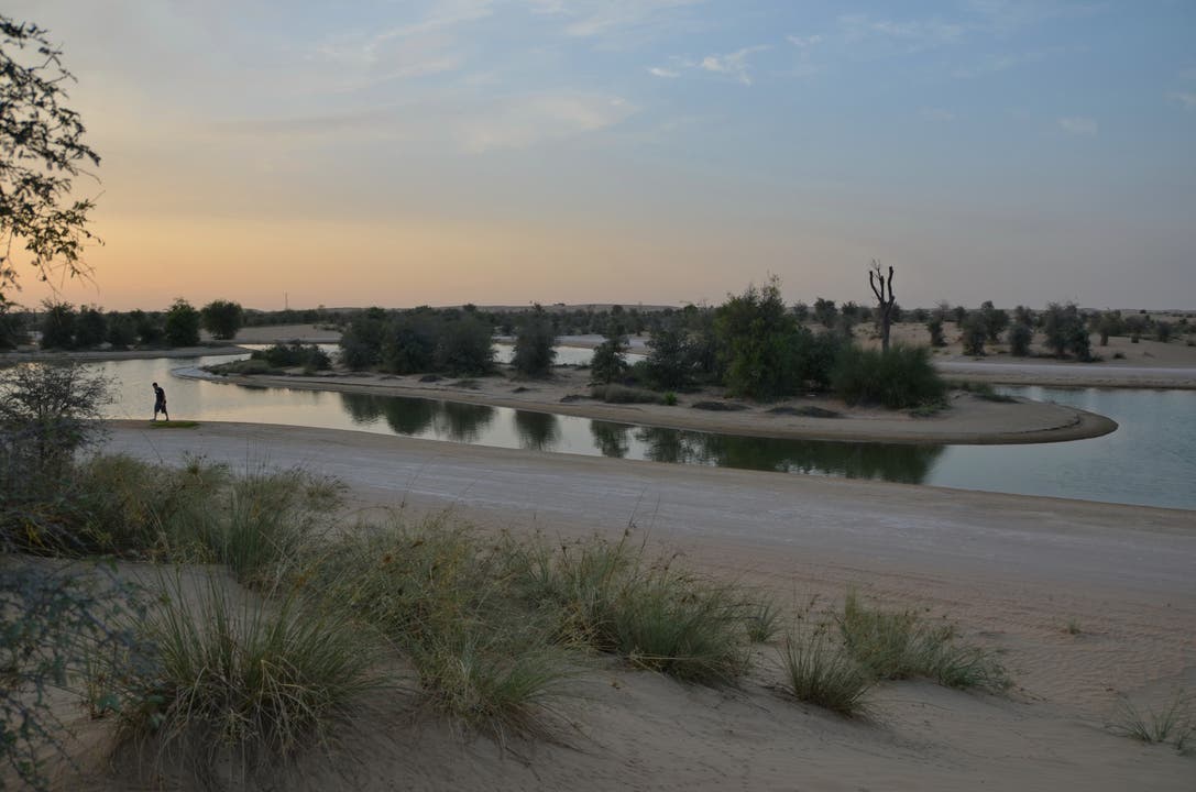 undefined Qudra Lakes in der Wüste von Dubai UAE