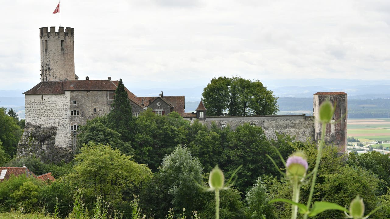 Das Schloss Neu-Bechburg ob Oensingen, wo das Sommerprojekt stattfindet, aus der Ferne.