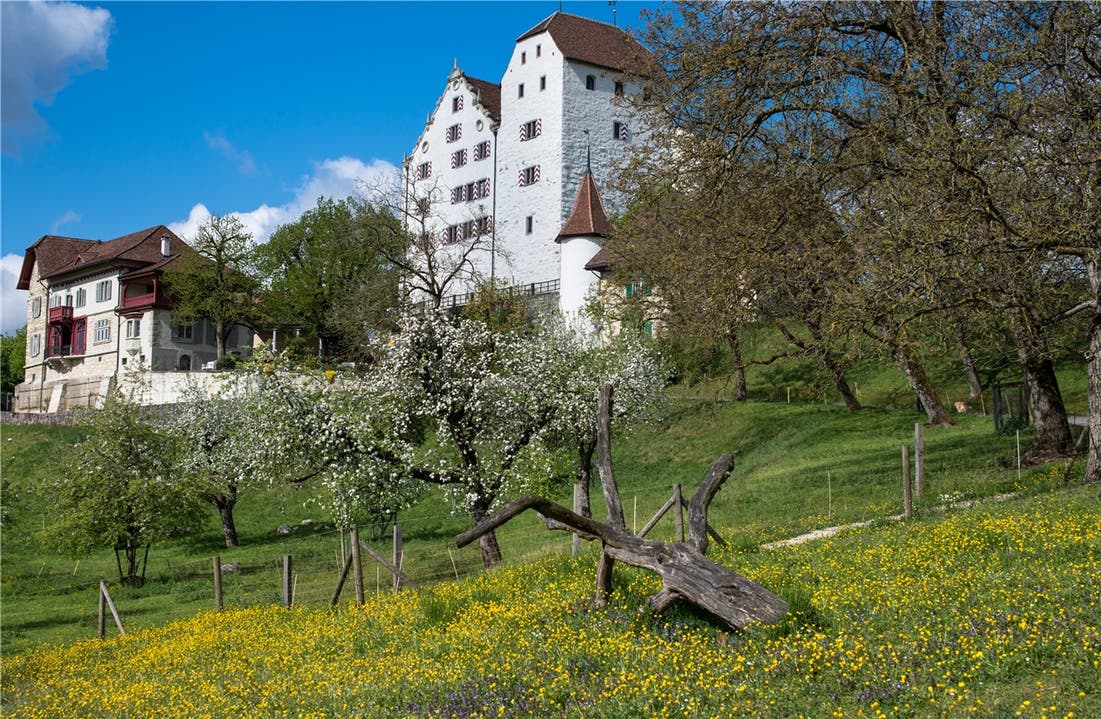 Seit Anfang 2011 ist es im Besitz des Kanton Aargau.