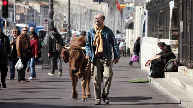 «La Vache»: Bauer Fatah und Kuh Jacqueline auf dem Weg zum Erfolg.