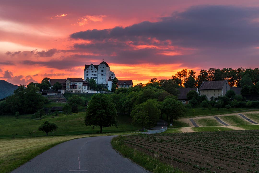 undefined Schloss Wildegg, gestern Abend bei Sonnenuntergang