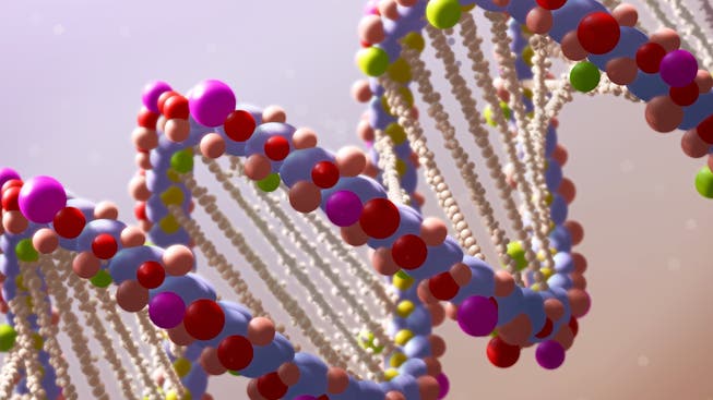 DNA-Tests werden mittlerweile rund um den Globus verschickt. Allein die Datenbank von 23andMe umfasst heute über eine Million Nutzer. (Symbolbild)