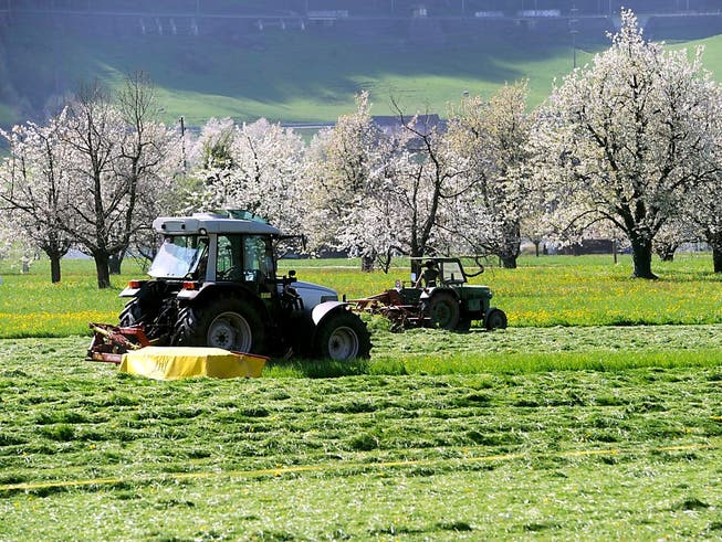 Sind die Schweizer Landwirte vom Aussterben bedroht? (Symbolbild)