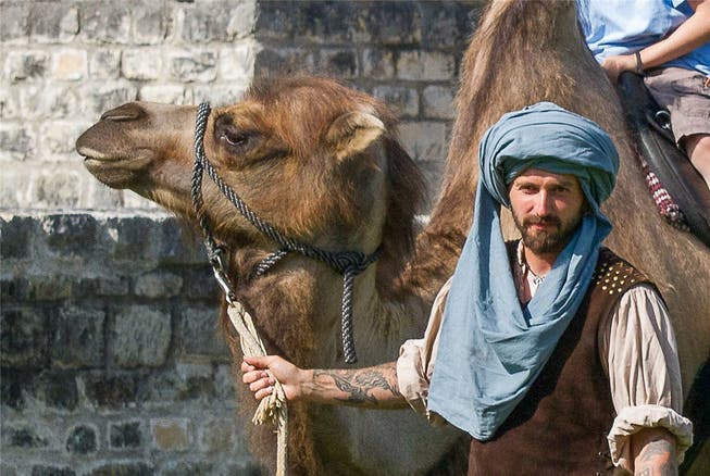 «Die Kamele sind los», lautet das Motto des Römertags Vindonissa. Museum Aargau