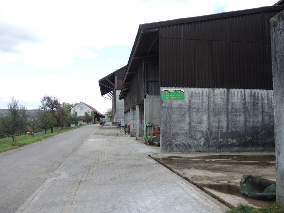 Der Landwirtschaftsbetrieb der Familie Hauenstein liegt im Endinger Weiler Loohof.