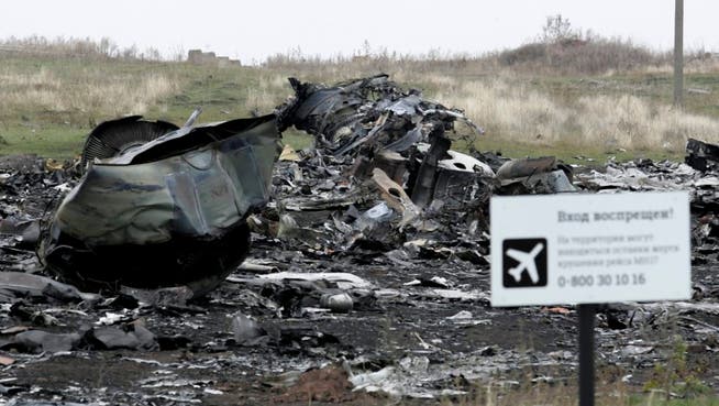 Absturzstelle des Flugs MH17 in der Ostukraine. (Archivbild)