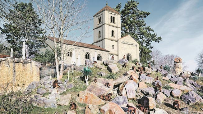 Das Kloster St. Martin war vor 500 Jahren dort, wo heute das «Alte Klösterli» steht: über den Felsen der Dscheladas im Zoo.