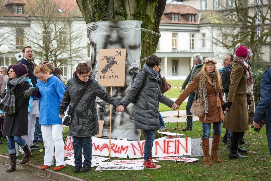 Anfang 2018 demonstrierte eine Menschenkette gegen die Fällung des Krähenbaums beim Kantonsspital Aarau.