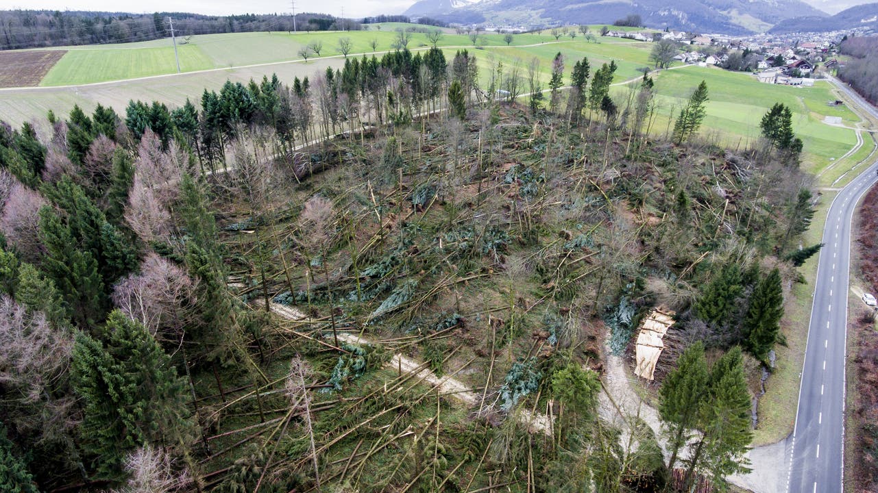 Sturm "Burglind" zerstört Wald in Kestenholz SO