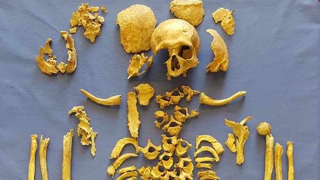 Eines der rund 60 Skeletten, die Anthropologin Sabine Landis wieder zusammensetzt.