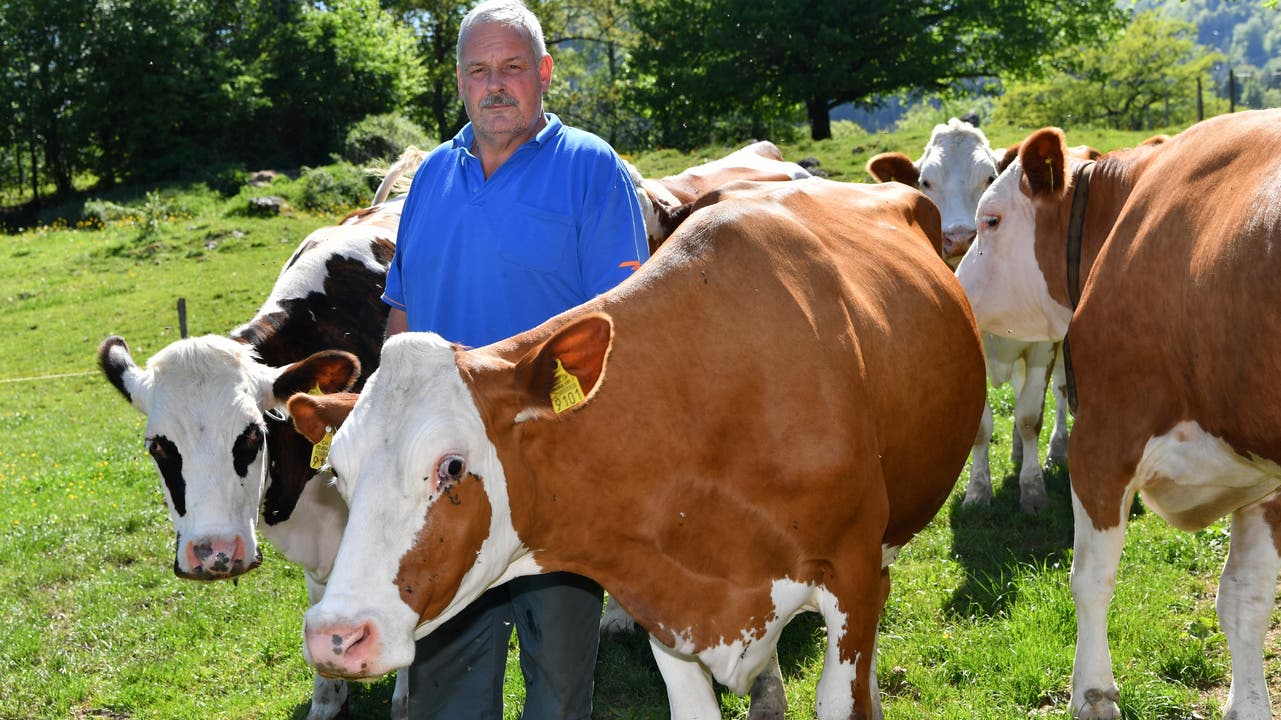 Neben seinen zwölf eigenen Kühen übersommert Alphirte Christian Tschumi zusätzlich noch 74 Rinder von verschiedenen Bauern aus der Region und bis in den Kanton Zürich.