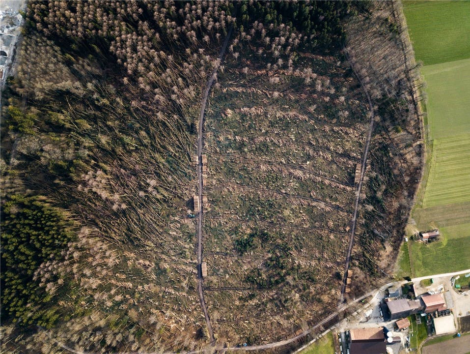 Diese Luftaufnahme vom 4. Februar macht deutlich, welche Schäden der Wintersturm Burglind im Waldgebiet Aebisholz in Oensingen hinterlassen hat.