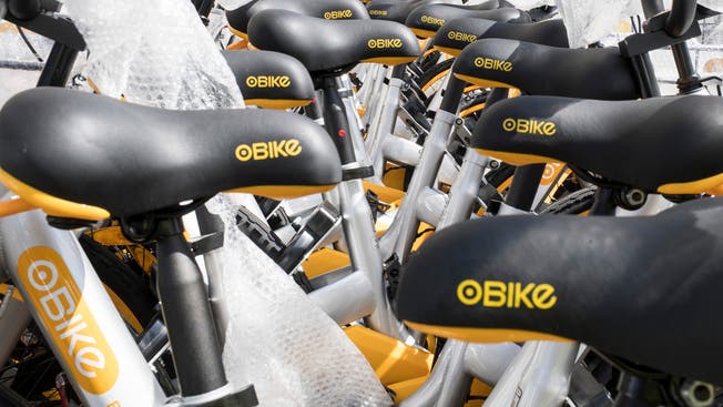 Bis Ende Monat möchte der Singapurer Leihvelo-Anbieter O-Bike sämtliche 600 Velos in der Stadt einsammeln. (Archivbild)