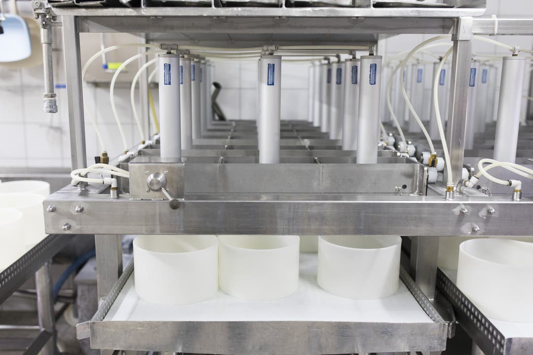 Spezialitätenkäserei von Sepp Brülisauer in Künten In dieser Presse werden die Käse in ihre form gepresst, in der Spezialitätenkäserei von Sepp Brülisauer in Künten, am 23. Januar 2018.