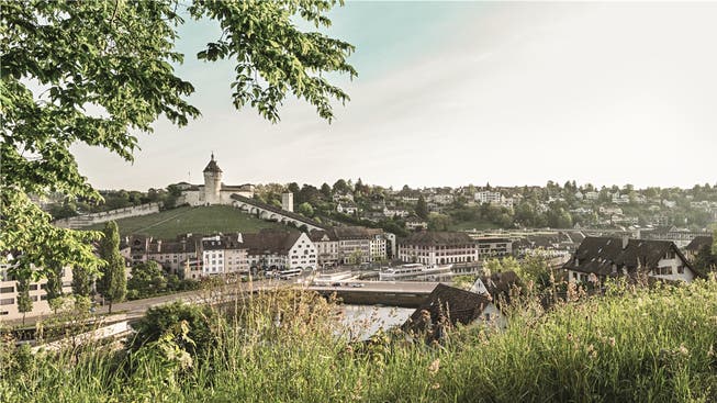 Bestimmte Firmen versteuern in Schaffhausen nur zehn Prozent ihrer ausländischen Erträge.