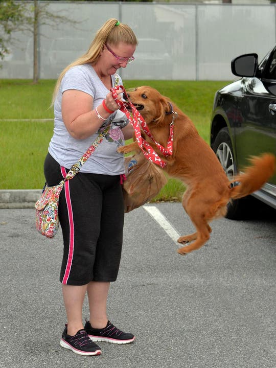 In den Wirren des Hurrikans gingen zahlreiche Haustiere verloren. In der US-Ortschaft Savannah (Georgia) freuen sich Hündin Leila und ihre Besitzerin Mary Bohanon über das Wiedersehen.